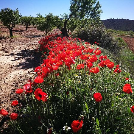 Cortijo Los Soledad El Sauco المظهر الخارجي الصورة
