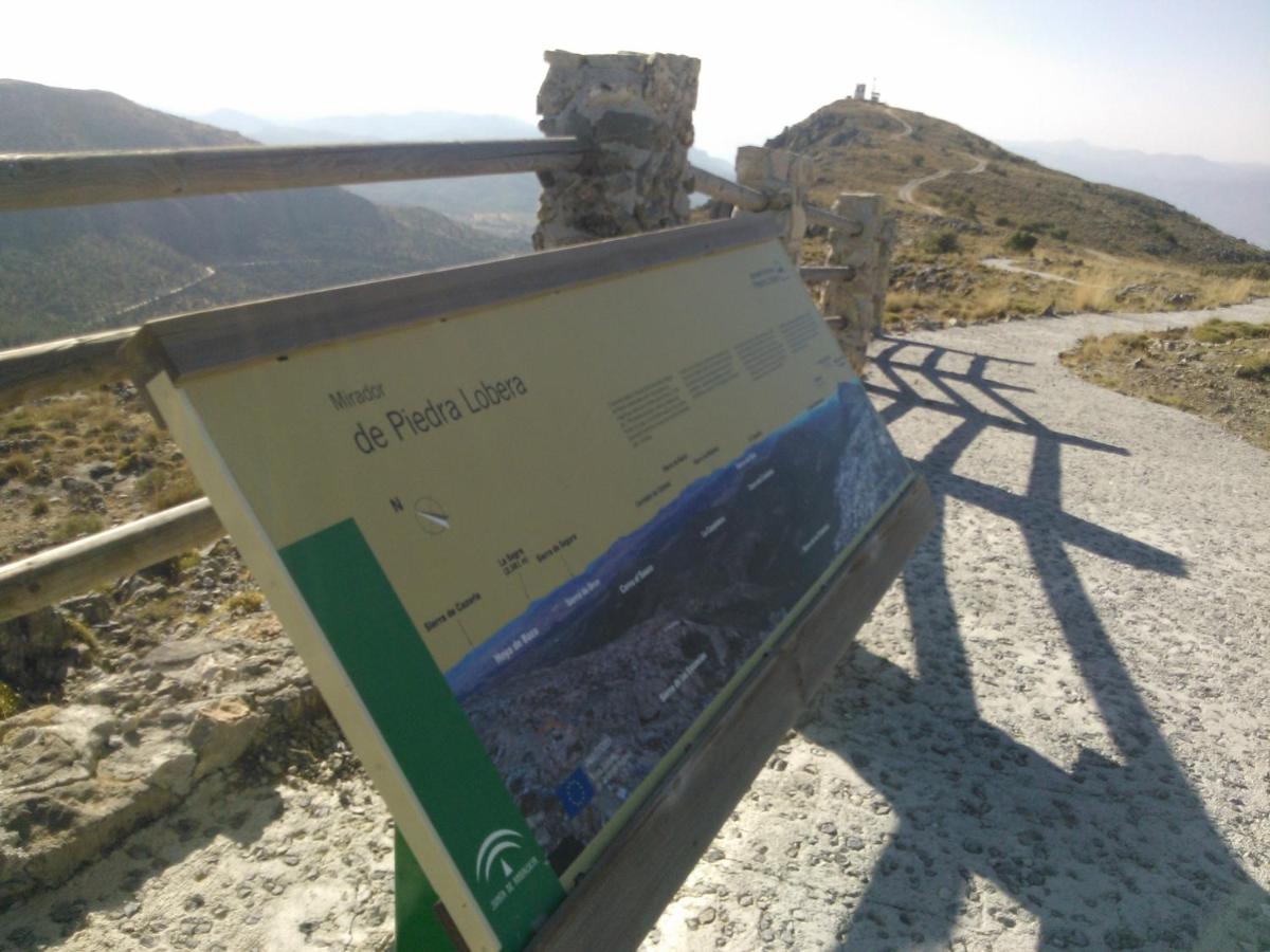 Cortijo Los Soledad El Sauco المظهر الخارجي الصورة