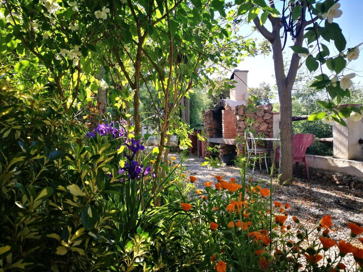 Cortijo Los Soledad El Sauco المظهر الخارجي الصورة