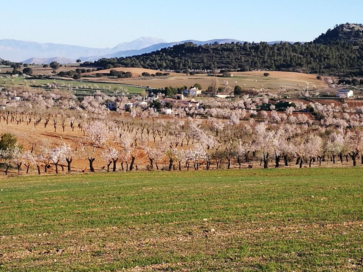 Cortijo Los Soledad El Sauco المظهر الخارجي الصورة