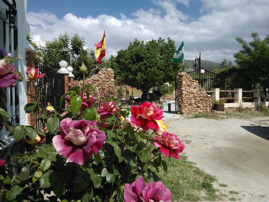 Cortijo Los Soledad El Sauco المظهر الخارجي الصورة