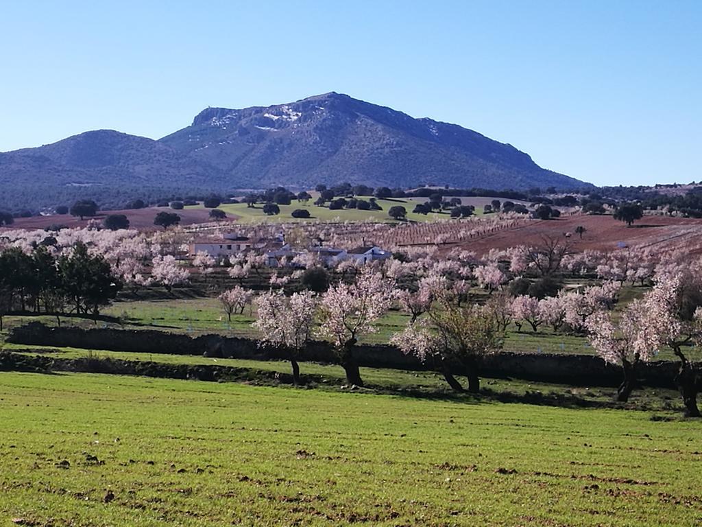 Cortijo Los Soledad El Sauco المظهر الخارجي الصورة