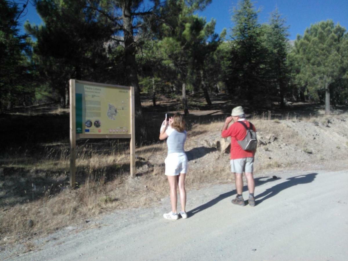 Cortijo Los Soledad El Sauco المظهر الخارجي الصورة